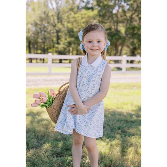 The Proper Peony Forget Me Not Dress NWT 2T‎ - Picture 1 of 6